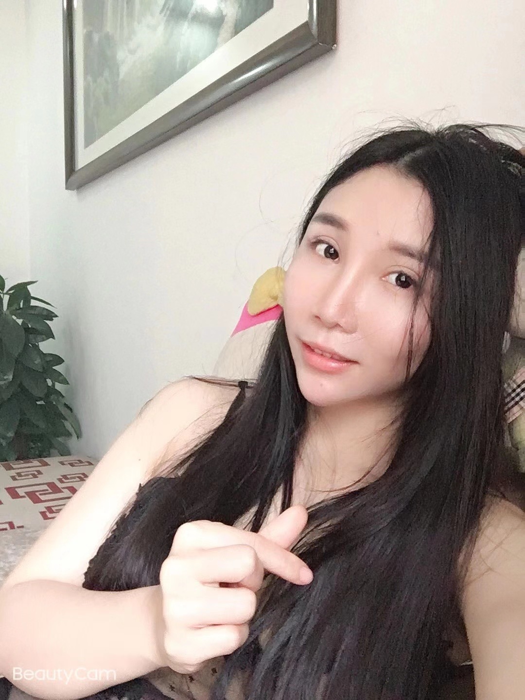 城西小蜜蜂验证